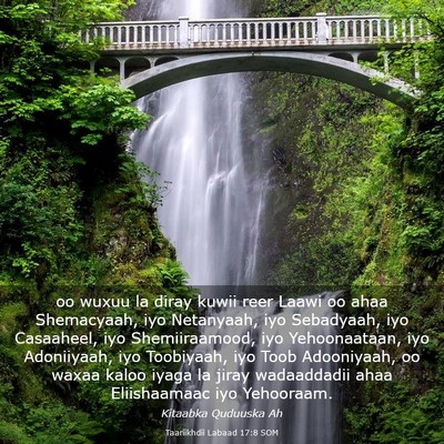 Picture 03 - Taariikhdii Labaad 17:8 SOM - oo wuxuu la diray kuwii reer Laawi oo ahaa - Bible Verse Picture