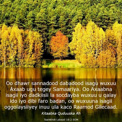 Picture 03 - Taariikhdii Labaad 18:2 SOM - Oo dhawr sannadood dabadood isagu wuxuu Axaab ugu - Bible Verse Picture