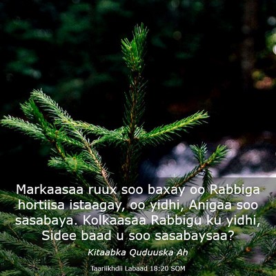 Picture 03 - Taariikhdii Labaad 18:20 SOM - Markaasaa ruux soo baxay oo Rabbiga hortiisa - Bible Verse Picture