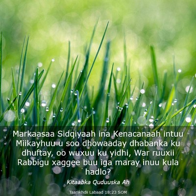 Picture 03 - Taariikhdii Labaad 18:23 SOM - Markaasaa Sidqiyaah ina Kenacanaah intuu - Bible Verse Picture