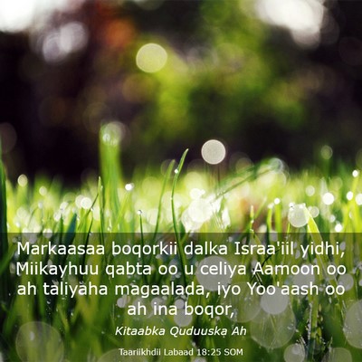 Picture 03 - Taariikhdii Labaad 18:25 SOM - Markaasaa boqorkii dalka Israa'iil yidhi, - Bible Verse Picture