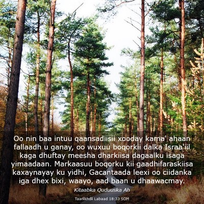 Picture 03 - Taariikhdii Labaad 18:33 SOM - Oo nin baa intuu qaansadiisii xooday kama' ahaan - Bible Verse Picture