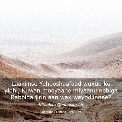 Picture 03 - Taariikhdii Labaad 18:6 SOM - Laakiinse Yehooshaafaad wuxuu ku yidhi, Kuwan - Bible Verse Picture