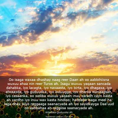 Picture 03 - Taariikhdii Labaad 2:14 SOM - Oo isaga waxaa dhashay naag reer Daan ah oo - Bible Verse Picture