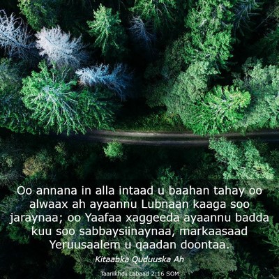 Picture 03 - Taariikhdii Labaad 2:16 SOM - Oo annana in alla intaad u baahan tahay oo alwaax - Bible Verse Picture