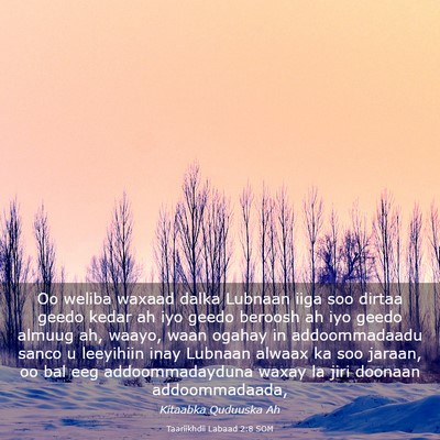 Picture 03 - Taariikhdii Labaad 2:8 SOM - Oo weliba waxaad dalka Lubnaan iiga soo dirtaa - Bible Verse Picture