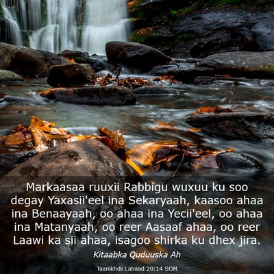 Picture 03 - Taariikhdii Labaad 20:14 SOM - Markaasaa ruuxii Rabbigu wuxuu ku soo degay - Bible Verse Picture