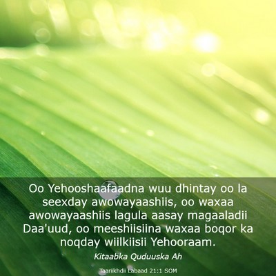 Picture 03 - Taariikhdii Labaad 21:1 SOM - Oo Yehooshaafaadna wuu dhintay oo la seexday - Bible Verse Picture