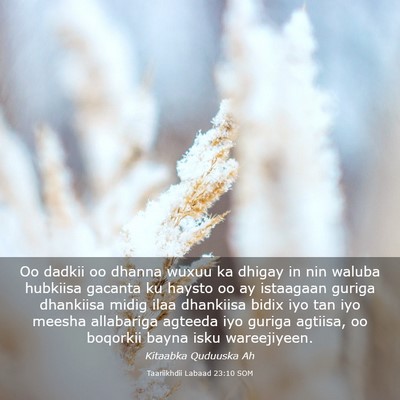 Picture 03 - Taariikhdii Labaad 23:10 SOM - Oo dadkii oo dhanna wuxuu ka dhigay in nin waluba - Bible Verse Picture