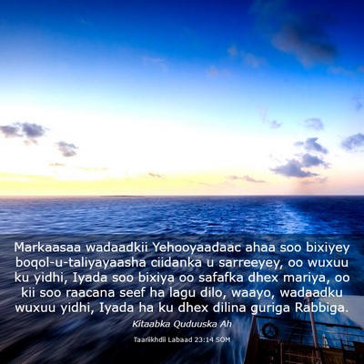 Picture 03 - Taariikhdii Labaad 23:14 SOM - Markaasaa wadaadkii Yehooyaadaac ahaa soo bixiyey - Bible Verse Picture