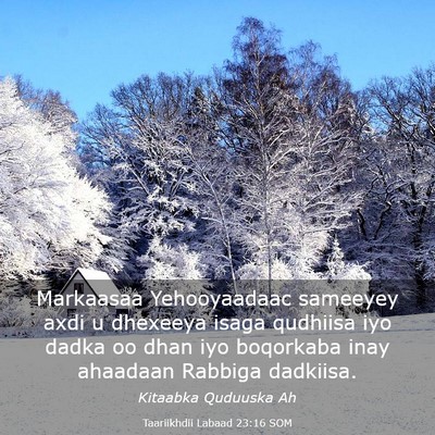 Picture 03 - Taariikhdii Labaad 23:16 SOM - Markaasaa Yehooyaadaac sameeyey axdi u dhexeeya - Bible Verse Picture