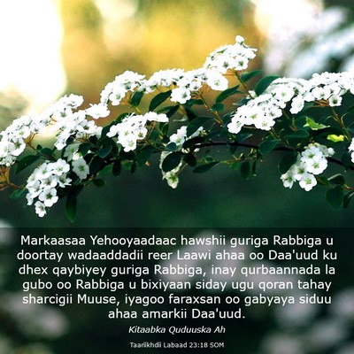 Picture 03 - Taariikhdii Labaad 23:18 SOM - Markaasaa Yehooyaadaac hawshii guriga Rabbiga u - Bible Verse Picture