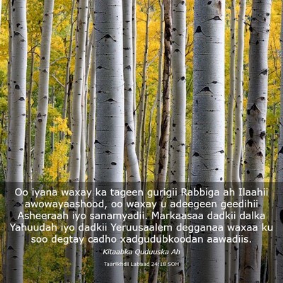 Picture 03 - Taariikhdii Labaad 24:18 SOM - Oo iyana waxay ka tageen gurigii Rabbiga ah - Bible Verse Picture