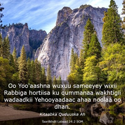Picture 03 - Taariikhdii Labaad 24:2 SOM - Oo Yoo'aashna wuxuu sameeyey wixii Rabbiga - Bible Verse Picture