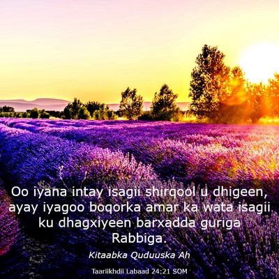 Picture 03 - Taariikhdii Labaad 24:21 SOM - Oo iyana intay isagii shirqool u dhigeen, ayay - Bible Verse Picture
