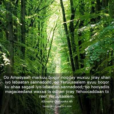 Picture 03 - Taariikhdii Labaad 25:1 SOM - Oo Amasyaah markuu boqor noqday wuxuu jiray shan - Bible Verse Picture