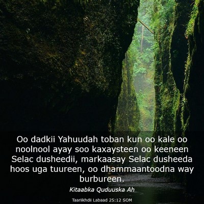 Picture 03 - Taariikhdii Labaad 25:12 SOM - Oo dadkii Yahuudah toban kun oo kale oo noolnool - Bible Verse Picture