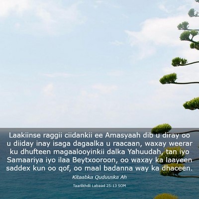 Picture 03 - Taariikhdii Labaad 25:13 SOM - Laakiinse raggii ciidankii ee Amasyaah dib u - Bible Verse Picture