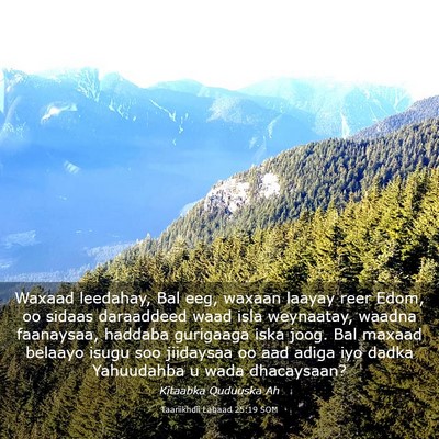 Picture 03 - Taariikhdii Labaad 25:19 SOM - Waxaad leedahay, Bal eeg, waxaan laayay reer - Bible Verse Picture