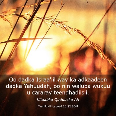 Picture 03 - Taariikhdii Labaad 25:22 SOM - Oo dadka Israa'iil way ka adkaadeen dadka - Bible Verse Picture
