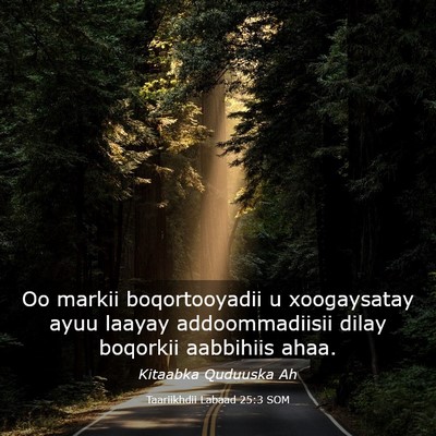 Picture 03 - Taariikhdii Labaad 25:3 SOM - Oo markii boqortooyadii u xoogaysatay ayuu laayay - Bible Verse Picture