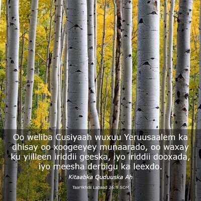 Picture 03 - Taariikhdii Labaad 26:9 SOM - Oo weliba Cusiyaah wuxuu Yeruusaalem ka dhisay oo - Bible Verse Picture