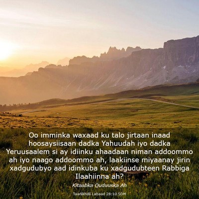 Picture 03 - Taariikhdii Labaad 28:10 SOM - Oo imminka waxaad ku talo jirtaan inaad - Bible Verse Picture