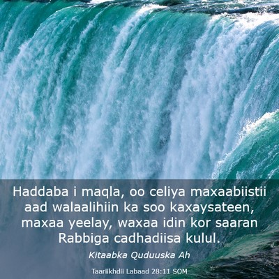 Picture 03 - Taariikhdii Labaad 28:11 SOM - Haddaba i maqla, oo celiya maxaabiistii aad - Bible Verse Picture