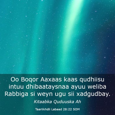 Picture 03 - Taariikhdii Labaad 28:22 SOM - Oo Boqor Aaxaas kaas qudhiisu intuu dhibaataysnaa - Bible Verse Picture