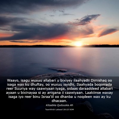 Picture 03 - Taariikhdii Labaad 28:23 SOM - Waayo, isagu wuxuu allabari u bixiyey ilaahyadii - Bible Verse Picture