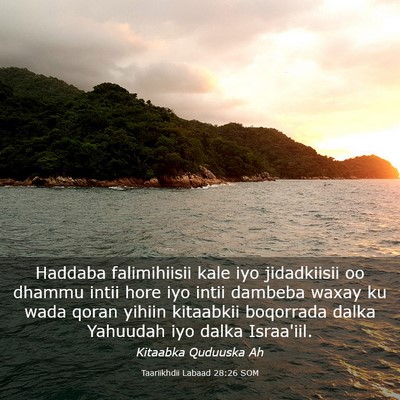 Picture 03 - Taariikhdii Labaad 28:26 SOM - Haddaba falimihiisii kale iyo jidadkiisii oo - Bible Verse Picture