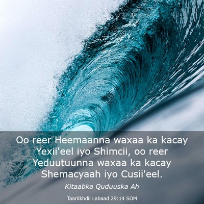 Picture 03 - Taariikhdii Labaad 29:14 SOM - Oo reer Heemaanna waxaa ka kacay Yexii'eel iyo - Bible Verse Picture