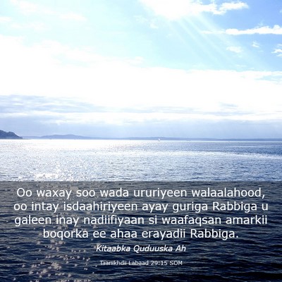 Picture 03 - Taariikhdii Labaad 29:15 SOM - Oo waxay soo wada ururiyeen walaalahood, oo intay - Bible Verse Picture