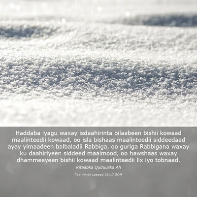 Picture 03 - Taariikhdii Labaad 29:17 SOM - Haddaba iyagu waxay isdaahirinta bilaabeen bishii - Bible Verse Picture