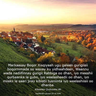 Picture 03 - Taariikhdii Labaad 29:18 SOM - Markaasay Boqor Xisqiyaah ugu galeen gurigiisii - Bible Verse Picture