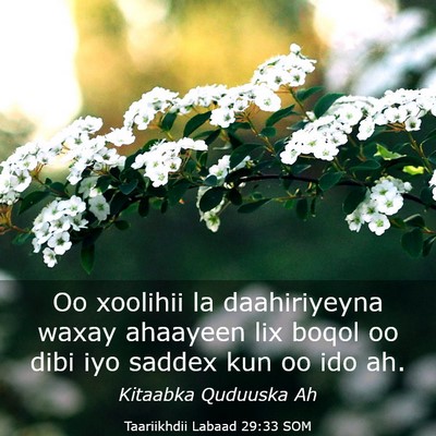 Picture 03 - Taariikhdii Labaad 29:33 SOM - Oo xoolihii la daahiriyeyna waxay ahaayeen lix - Bible Verse Picture