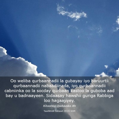 Picture 03 - Taariikhdii Labaad 29:35 SOM - Oo weliba qurbaannadii la gubayay iyo baruurtii - Bible Verse Picture
