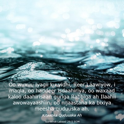 Picture 03 - Taariikhdii Labaad 29:5 SOM - Oo wuxuu iyagii ku yidhi, Reer Laawiyow, i maqla, - Bible Verse Picture