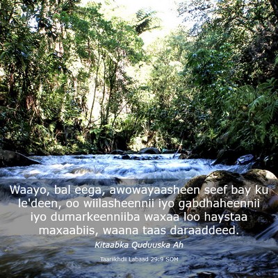 Picture 03 - Taariikhdii Labaad 29:9 SOM - Waayo, bal eega, awowayaasheen seef bay ku - Bible Verse Picture