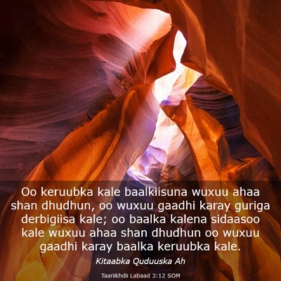 Picture 03 - Taariikhdii Labaad 3:12 SOM - Oo keruubka kale baalkiisuna wuxuu ahaa shan - Bible Verse Picture