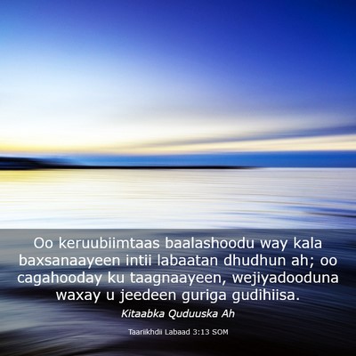 Picture 03 - Taariikhdii Labaad 3:13 SOM - Oo keruubiimtaas baalashoodu way kala - Bible Verse Picture