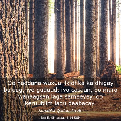 Picture 03 - Taariikhdii Labaad 3:14 SOM - Oo haddana wuxuu ilxidhka ka dhigay buluug, iyo - Bible Verse Picture
