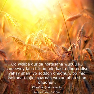 Picture 03 - Taariikhdii Labaad 3:15 SOM - Oo weliba guriga hortiisana wuxuu ku sameeyey - Bible Verse Picture