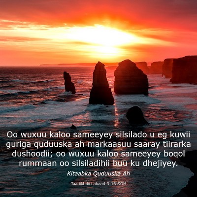 Picture 03 - Taariikhdii Labaad 3:16 SOM - Oo wuxuu kaloo sameeyey silsilado u eg kuwii - Bible Verse Picture