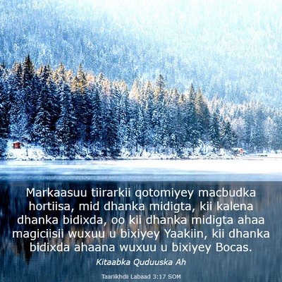 Picture 03 - Taariikhdii Labaad 3:17 SOM - Markaasuu tiirarkii qotomiyey macbudka hortiisa, - Bible Verse Picture