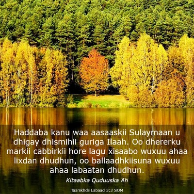 Picture 03 - Taariikhdii Labaad 3:3 SOM - Haddaba kanu waa aasaaskii Sulaymaan u dhigay - Bible Verse Picture