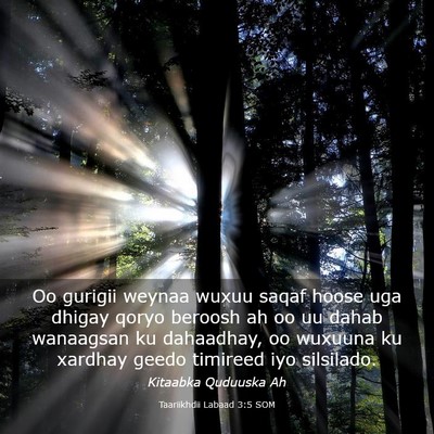 Picture 03 - Taariikhdii Labaad 3:5 SOM - Oo gurigii weynaa wuxuu saqaf hoose uga dhigay - Bible Verse Picture
