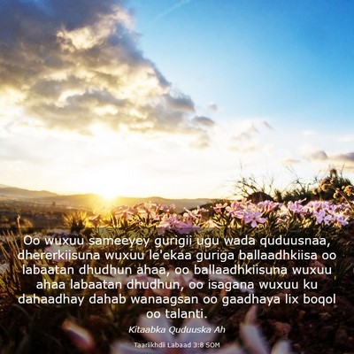 Picture 03 - Taariikhdii Labaad 3:8 SOM - Oo wuxuu sameeyey gurigii ugu wada quduusnaa, - Bible Verse Picture