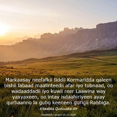 Picture 03 - Taariikhdii Labaad 30:15 SOM - Markaasay neefafkii Iiddii Kormaridda qaleen - Bible Verse Picture
