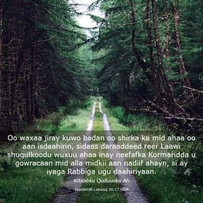 Picture 03 - Taariikhdii Labaad 30:17 SOM - Oo waxaa jiray kuwo badan oo shirka ka mid ahaa - Bible Verse Picture